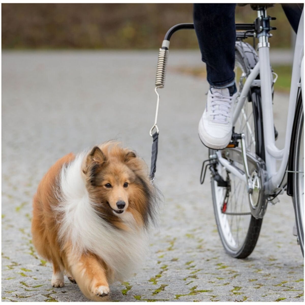 Cykel afstandsholder - til cykelturen med hunden