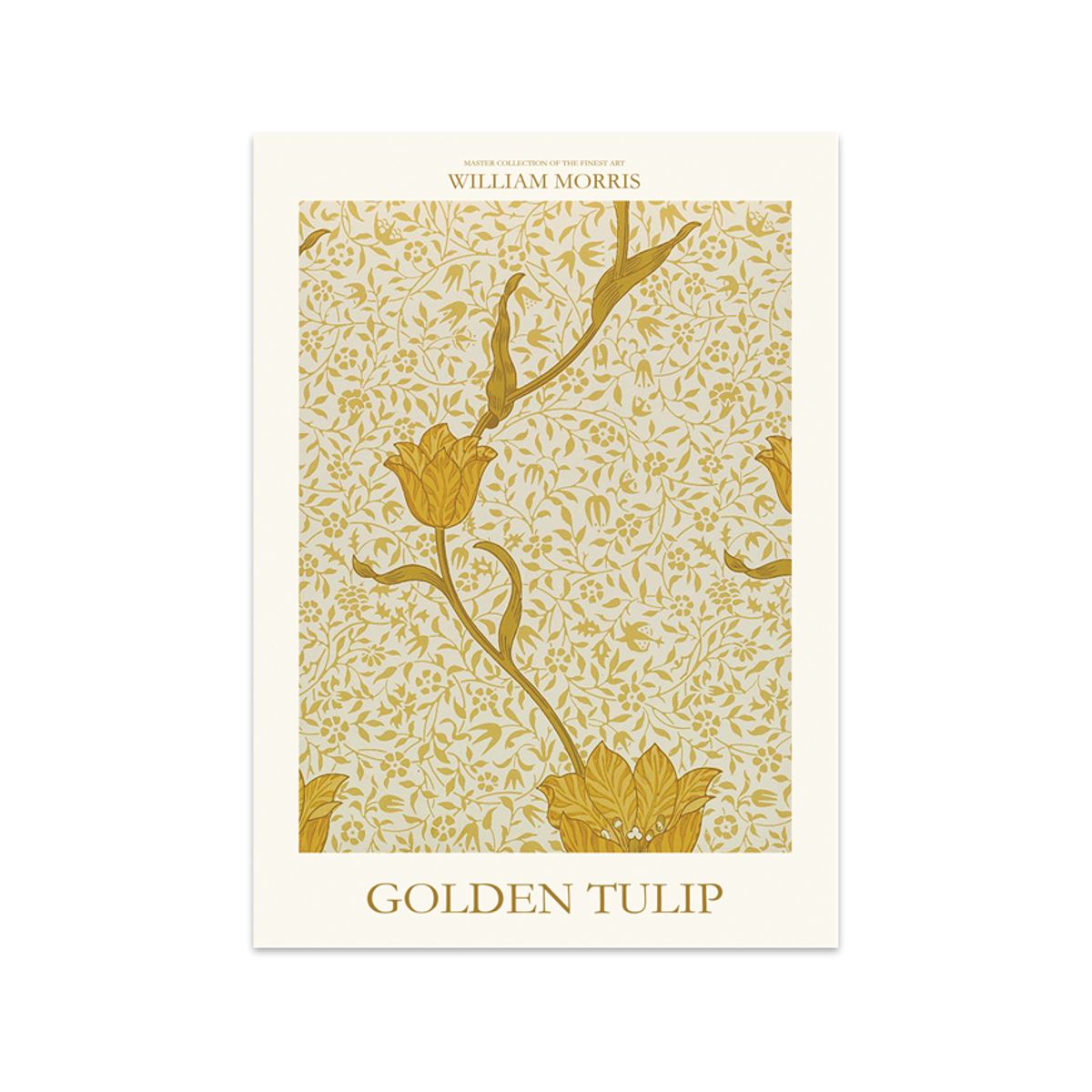 GOLDEN TULIP PLAKAT