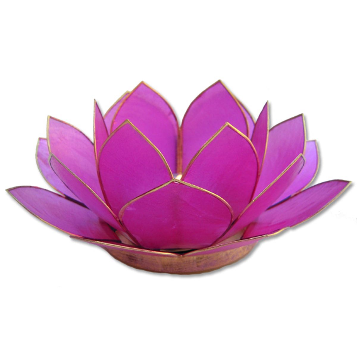 African Image - Lotus lysestage - Pink