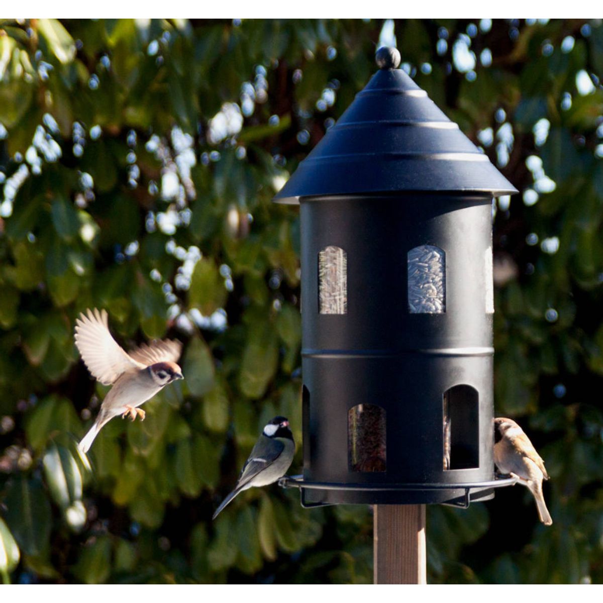 Wildlife Garden - Metal foderautomat Gigant Sort