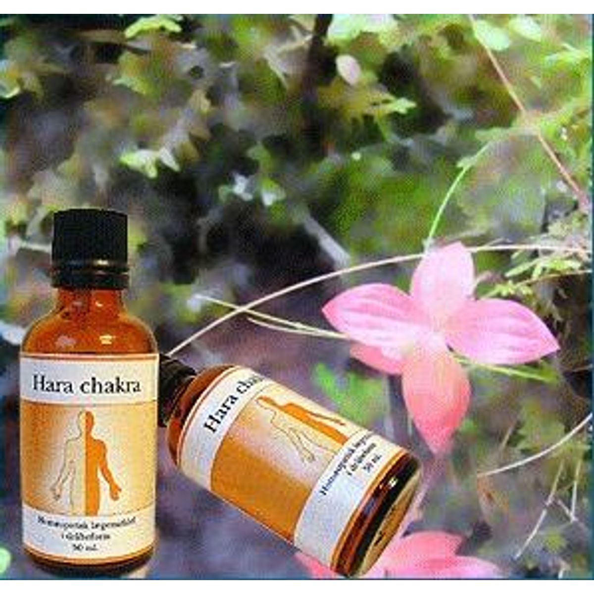 Chakra Hara, 50ml.