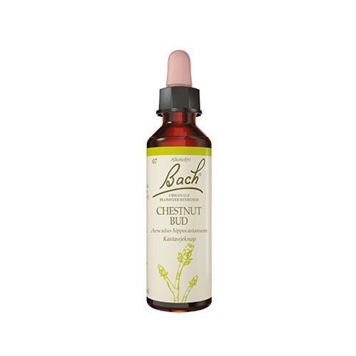 Bach Kastanieknop, 10ml