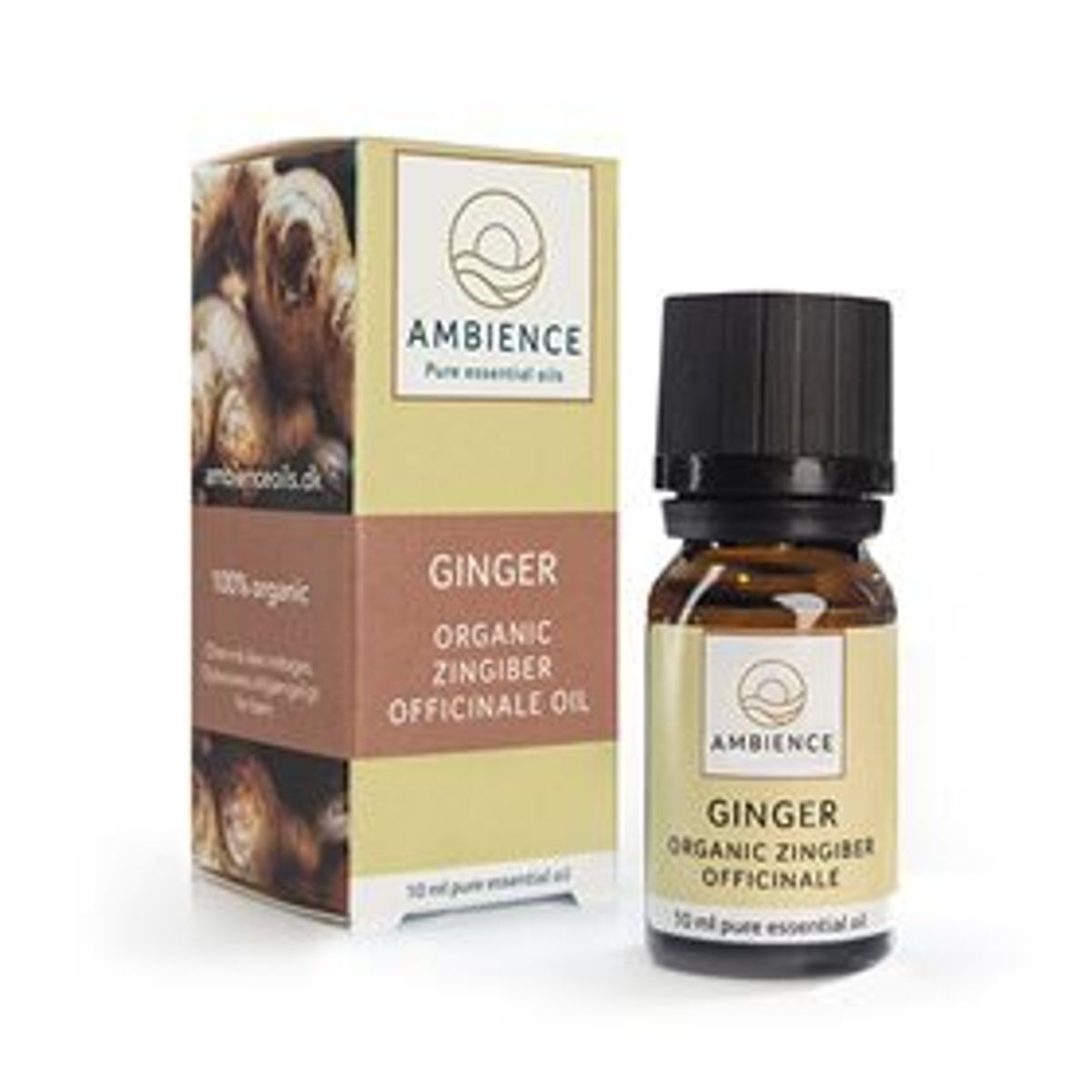 Ambience Ingefær olie, øko, 10ml.