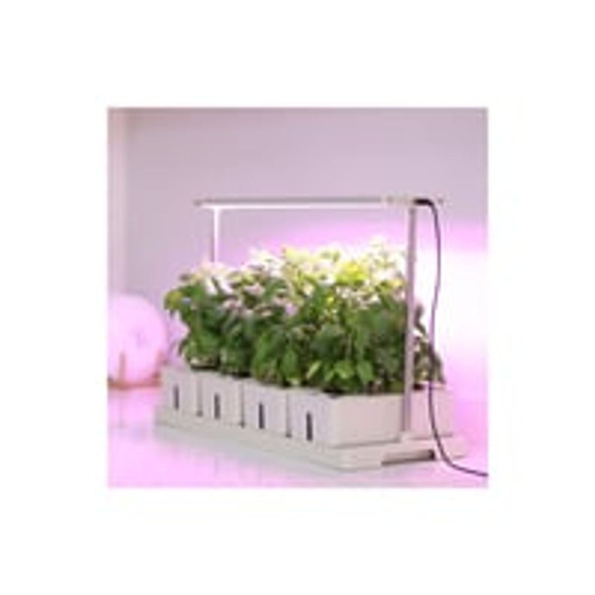 LEDlife Hydroponisk Plantebakke - Hvid, Inkl. Vkstlys, 20 Pladser, 4x2L Vandtank, 34W Effekt