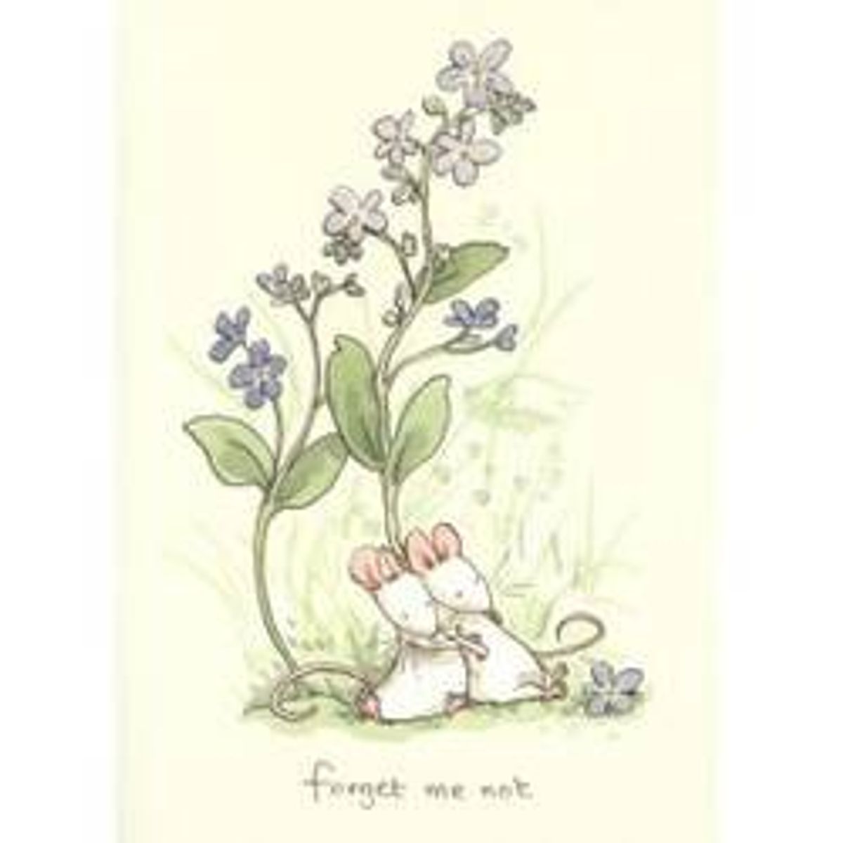 Greeting Cards Forget Me Not