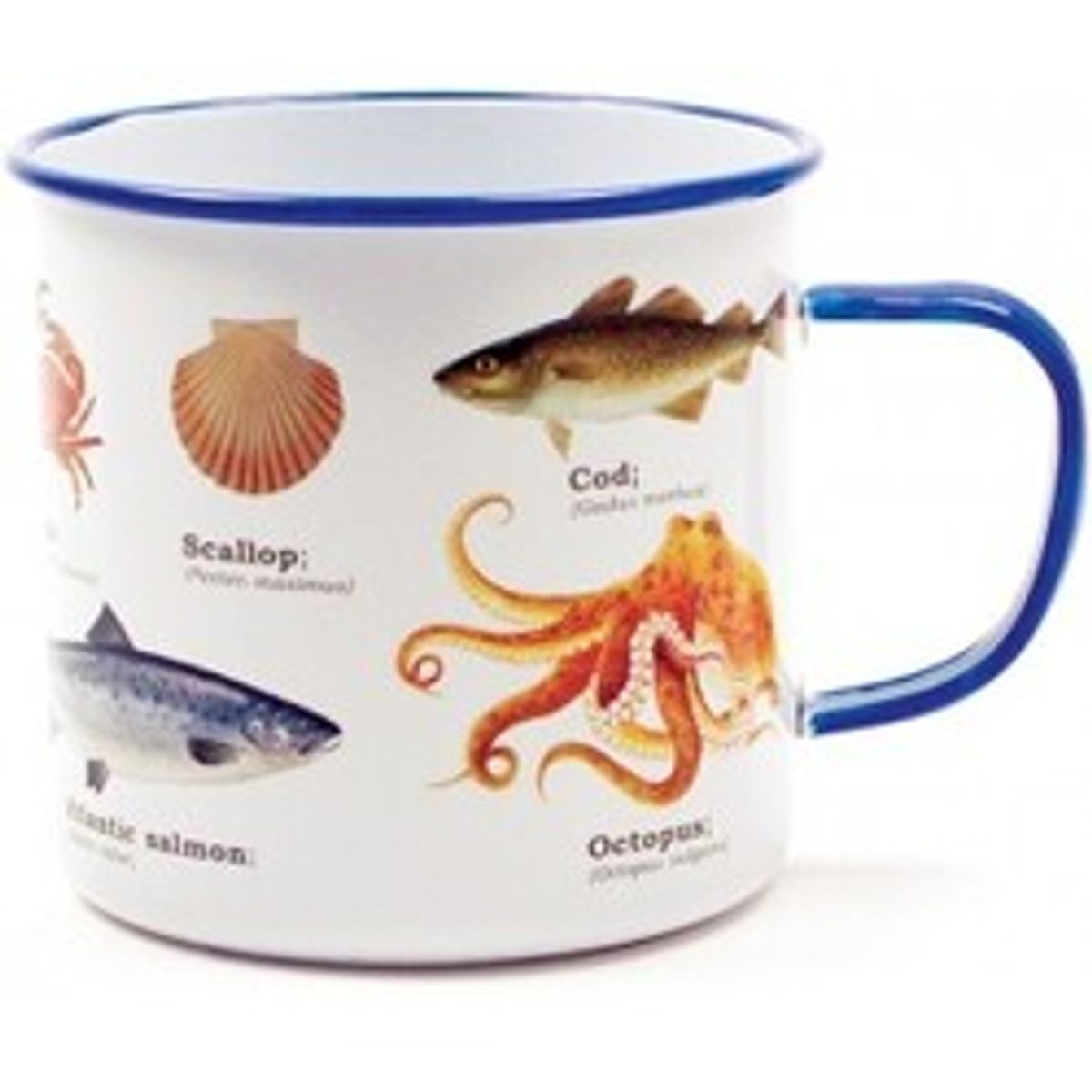 Gift Republic Enamel Mug Sea Life - Krus