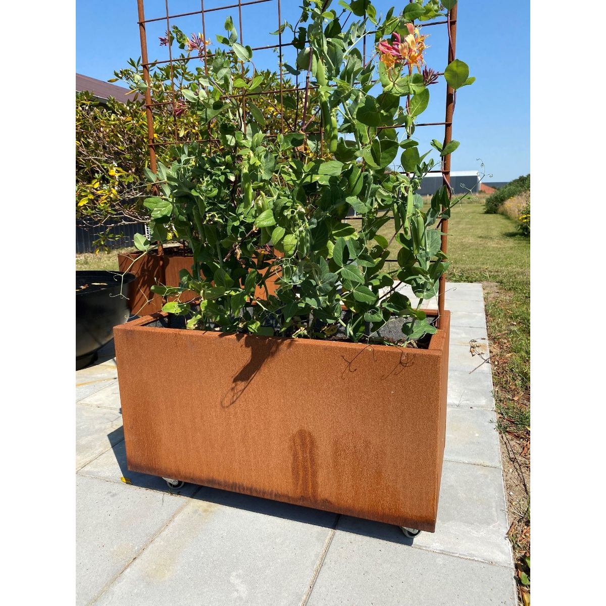 Plantekumme corten 80 x 40 x 40 cm m/espalier-Hjul-Uden flamingo-Med kapilærindsats