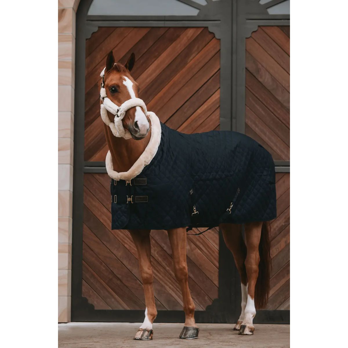 Kentucky Show Rug, 160 gram - Sort - 145 CM