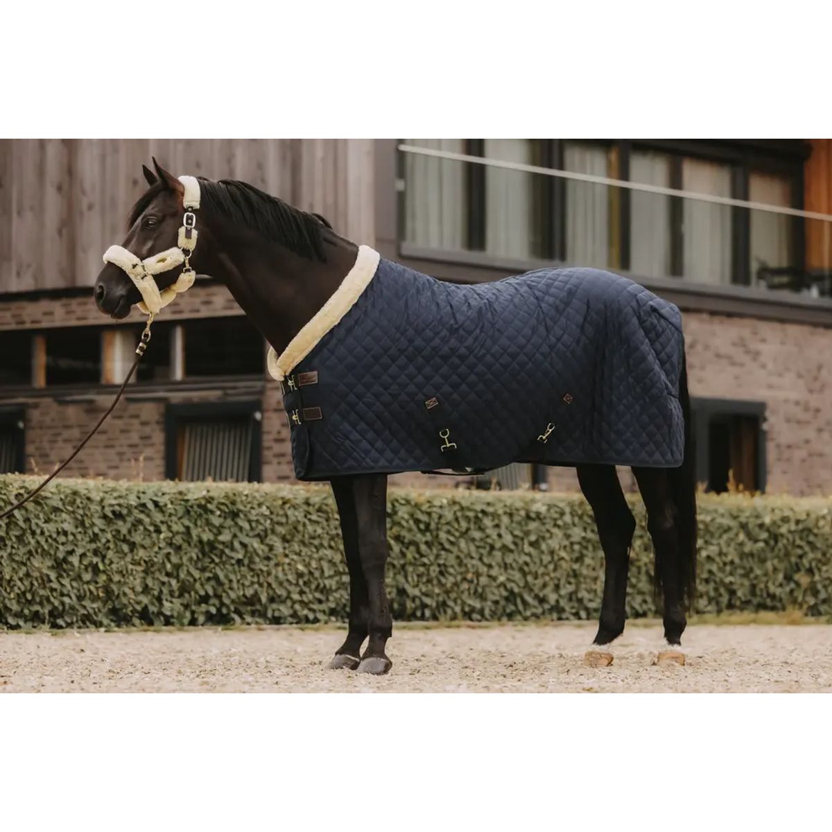 Kentucky Show Rug, 160 gram - Navy - 160 CM