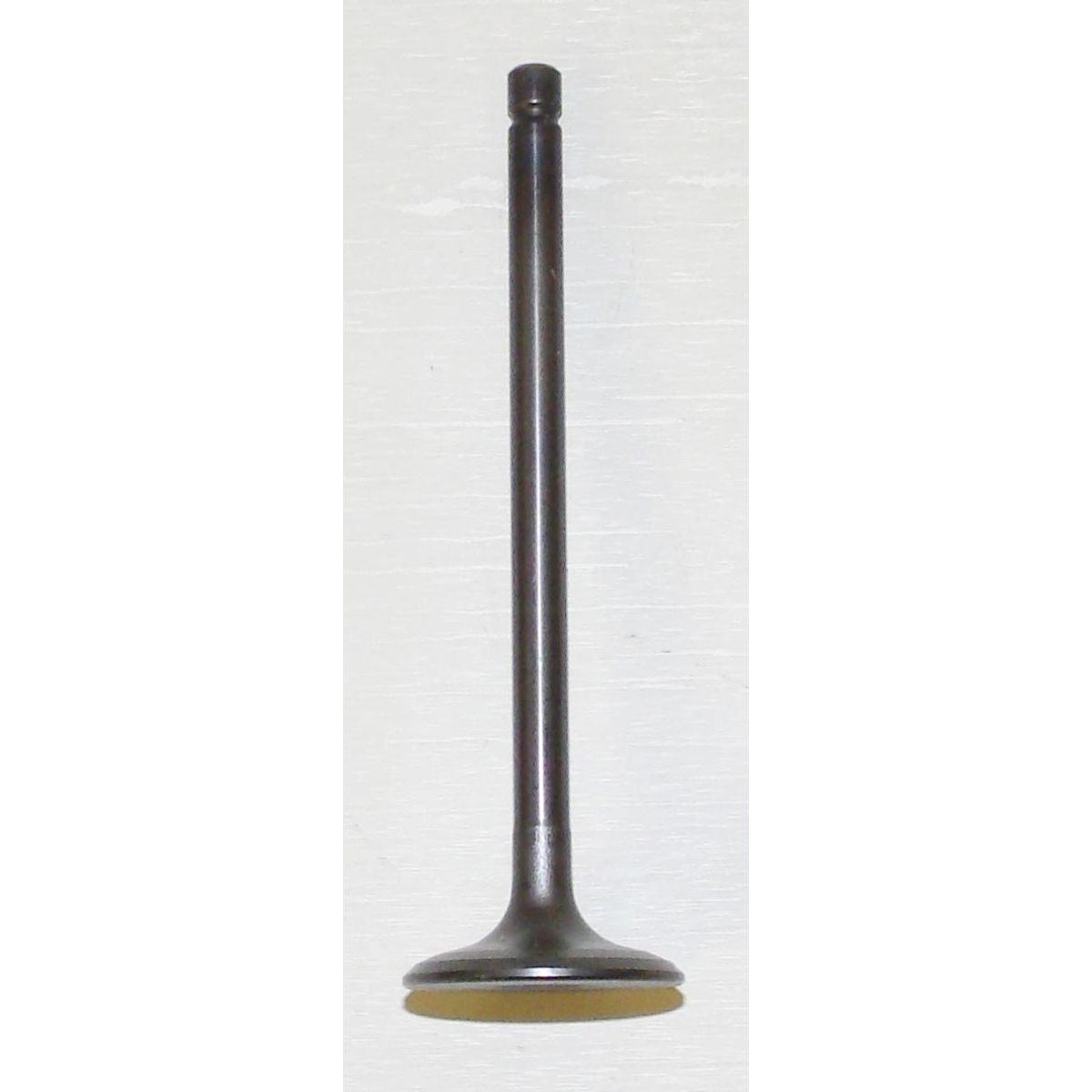 Intake Valve: Yamaha 660 01-08 - 3YF121110000