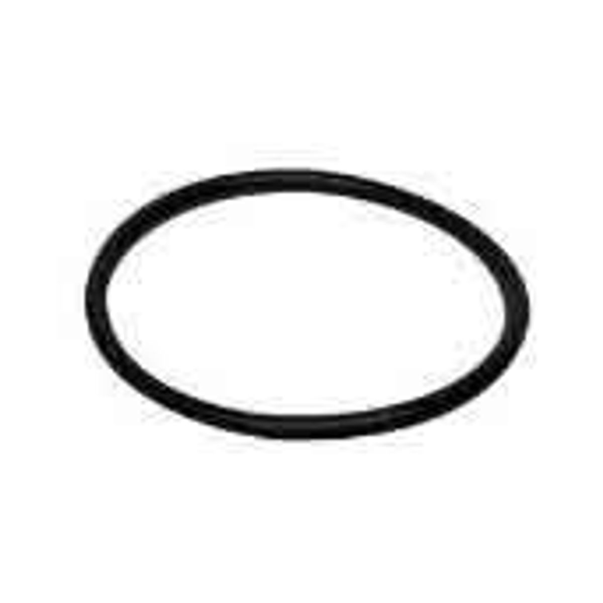 Mercruiser vandpumpe o ring - 2538099