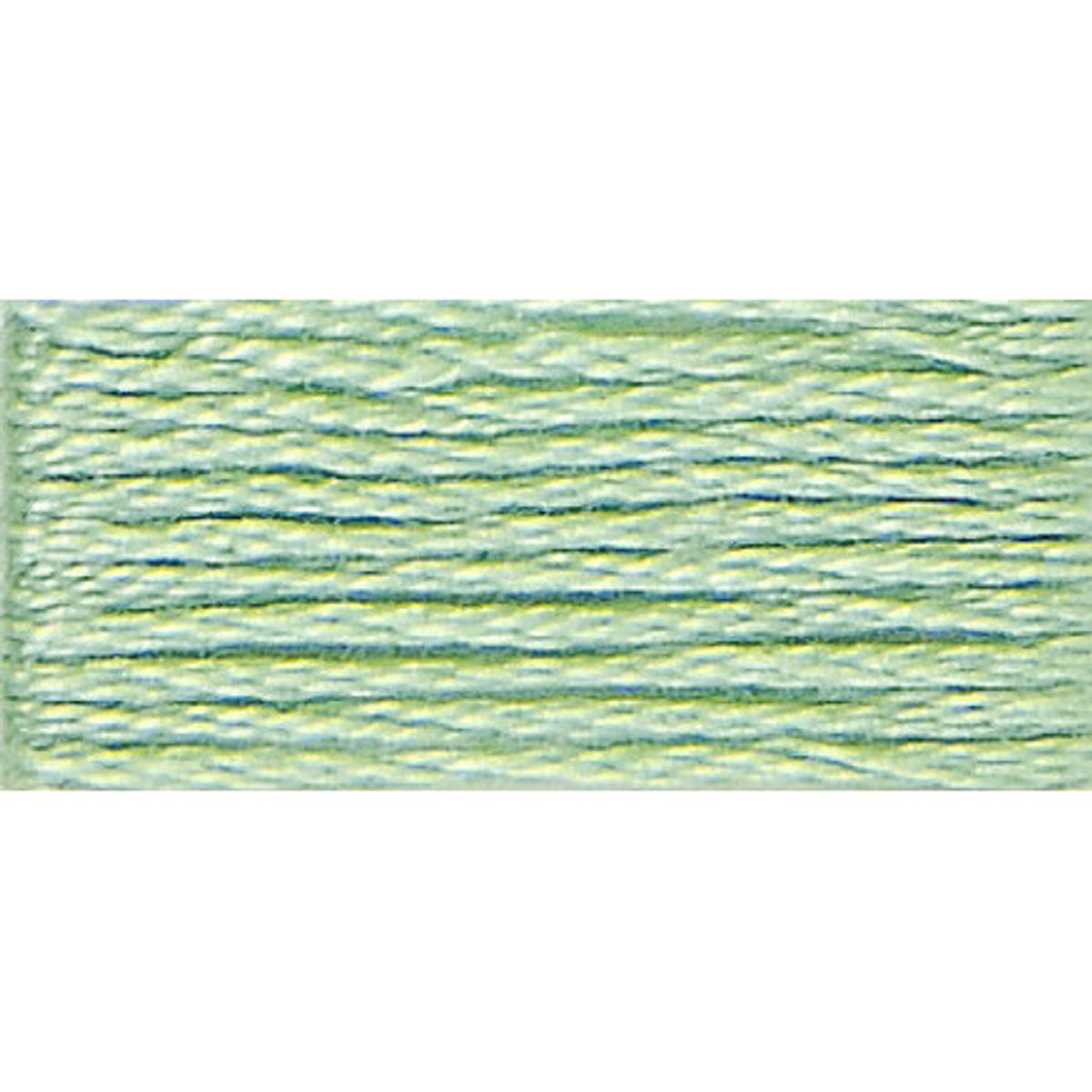 DMC Mouliné Spécial 25 Broderigarn 13 Wasabi