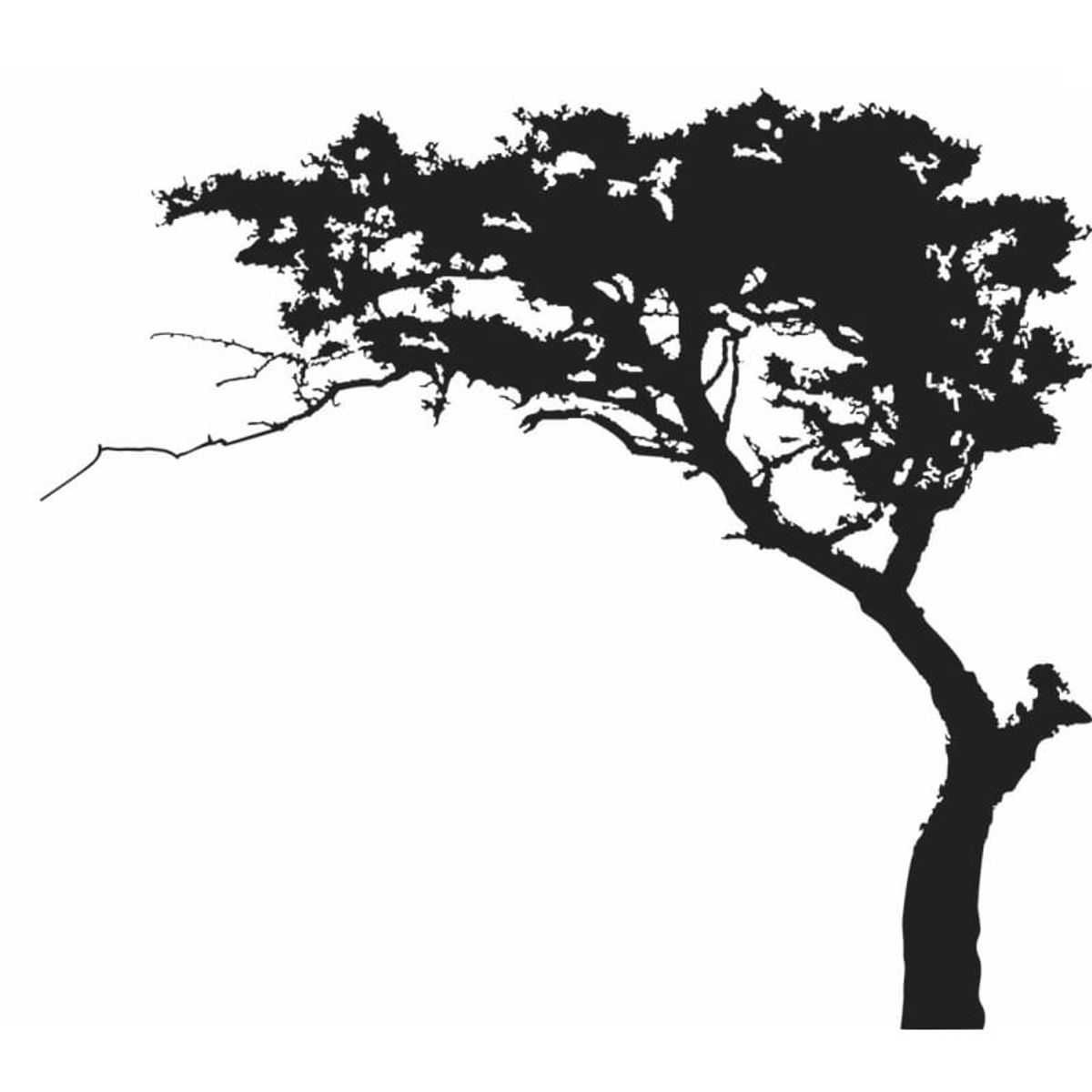 Træ wallsticker med et stort flot træ i Bonsai stil. 180x220cm