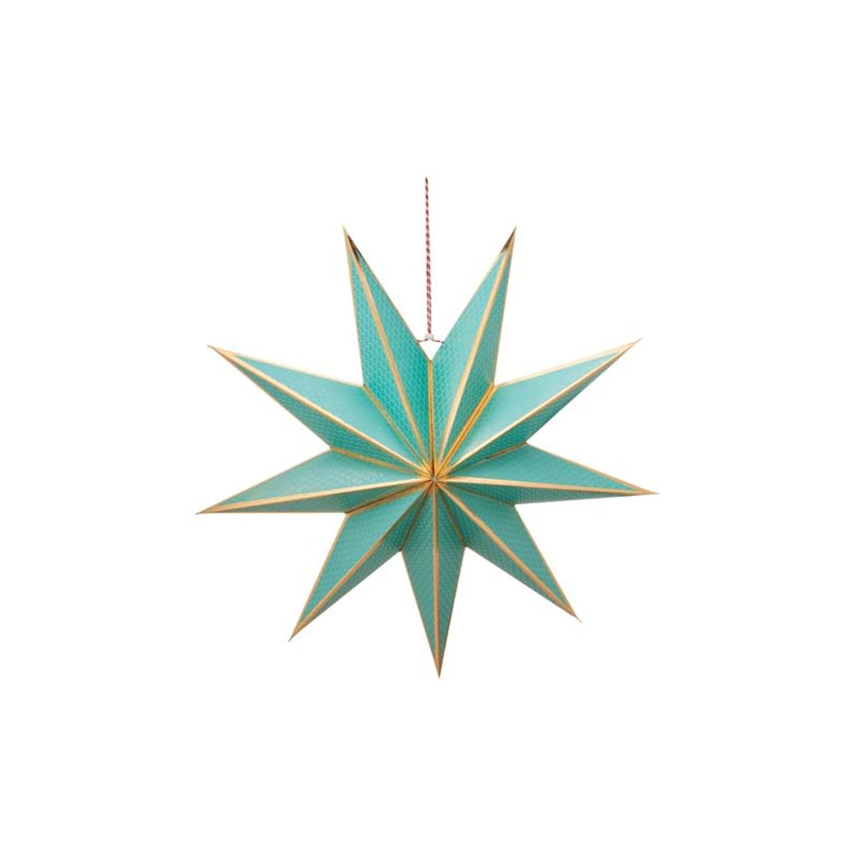 Christmas Star Paper Green 60cm