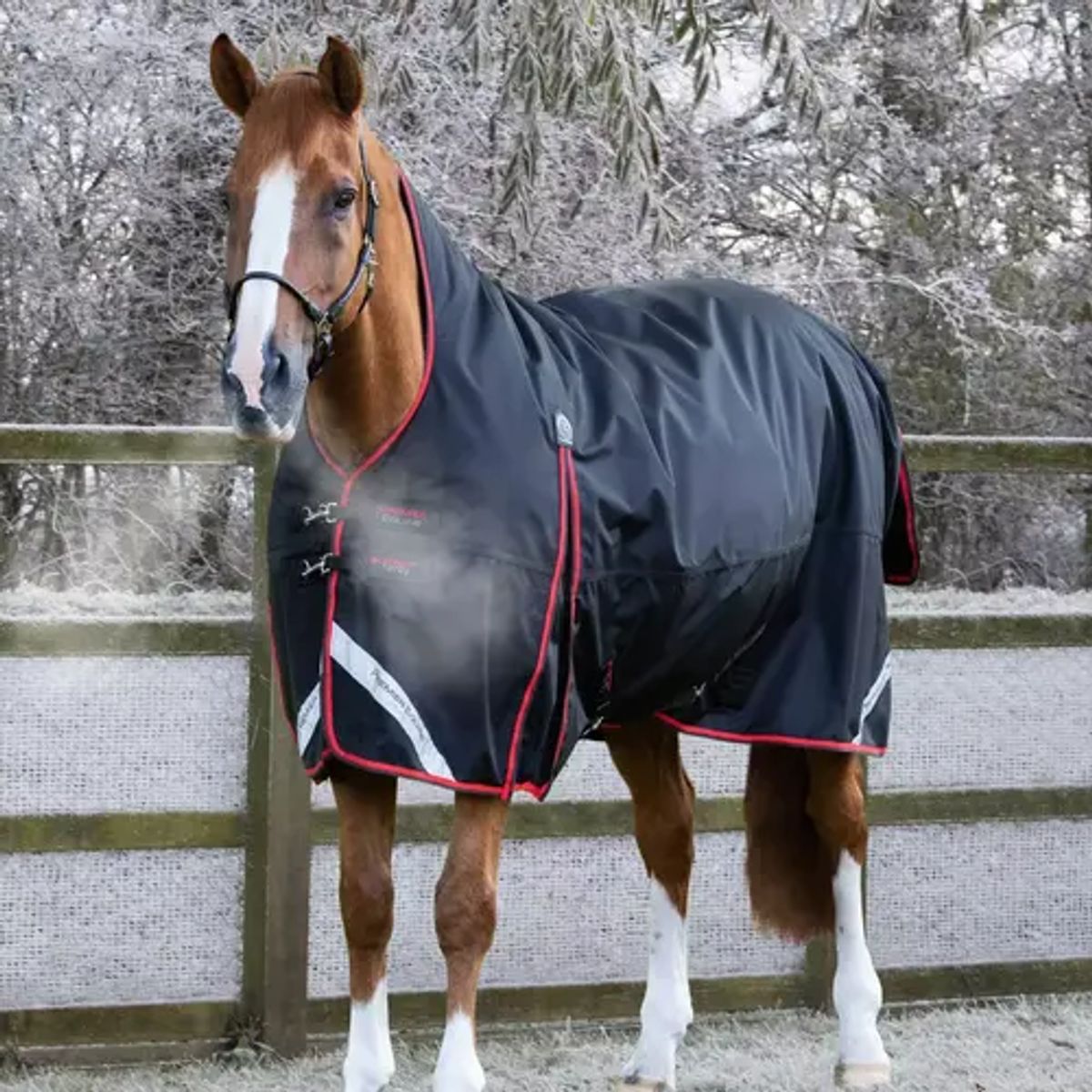 Premier Equine Buster Hardy 400g dækken - Sort - 7,3 170cm