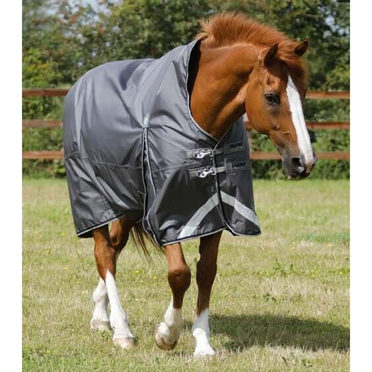 Premier Equine Buster Hardy Turnout dækken 0g - Wither Pressure Relief - 5,6" - 125cm, Grå