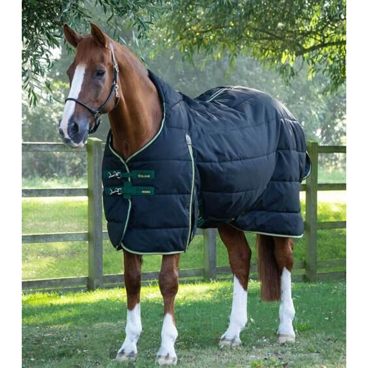 Premier Equine Lucanta Demi Stable 450g - 7,3" (165cm)