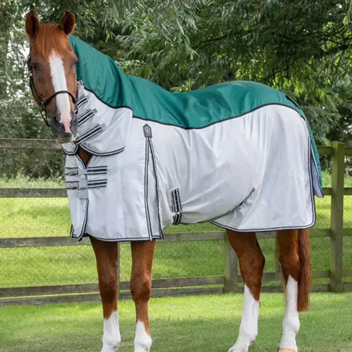 Premier Equine ShowerTex insektdækken - Grøn - 5,0" (115cm)