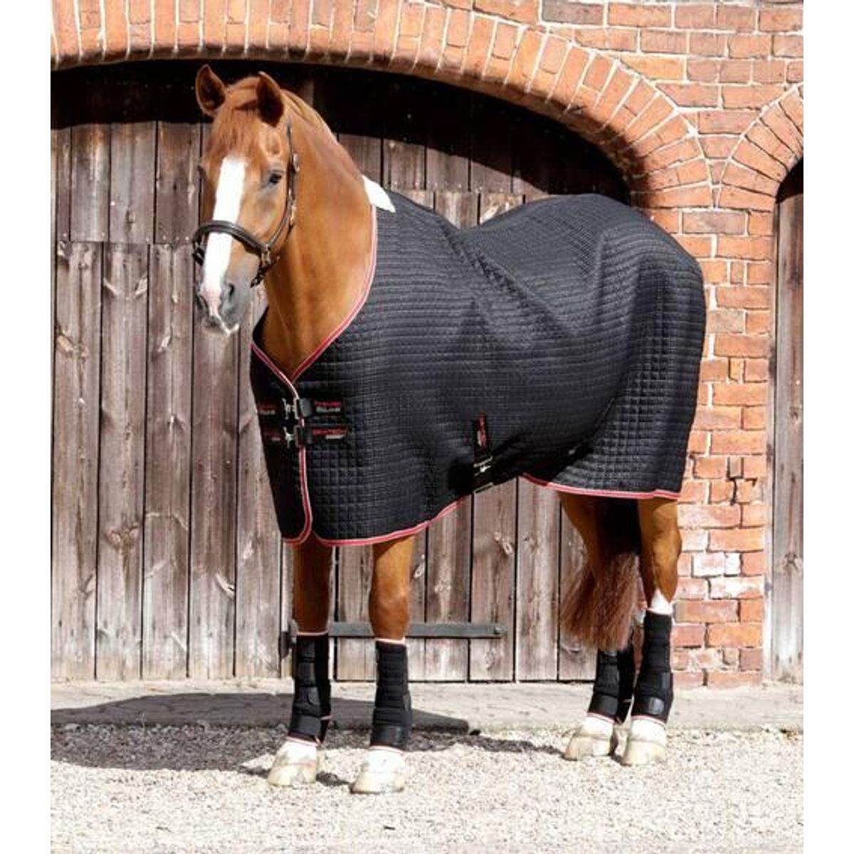 Premier Equine Dry-Tech Cooler dækken - Sort - 5,9" (130cm)