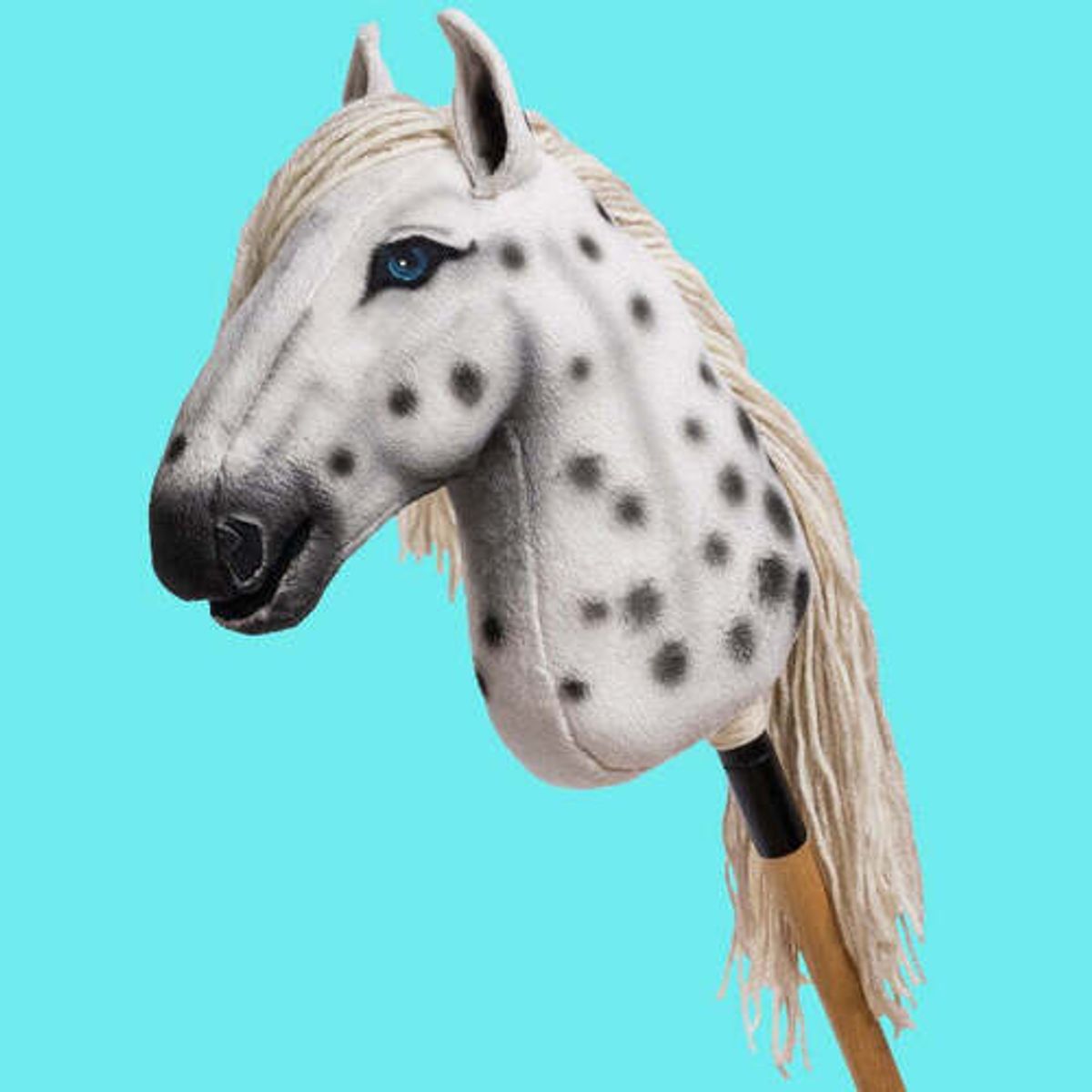 HUMMA Hobby Horse PRO Appaloosa - M Allround - "Skysong"