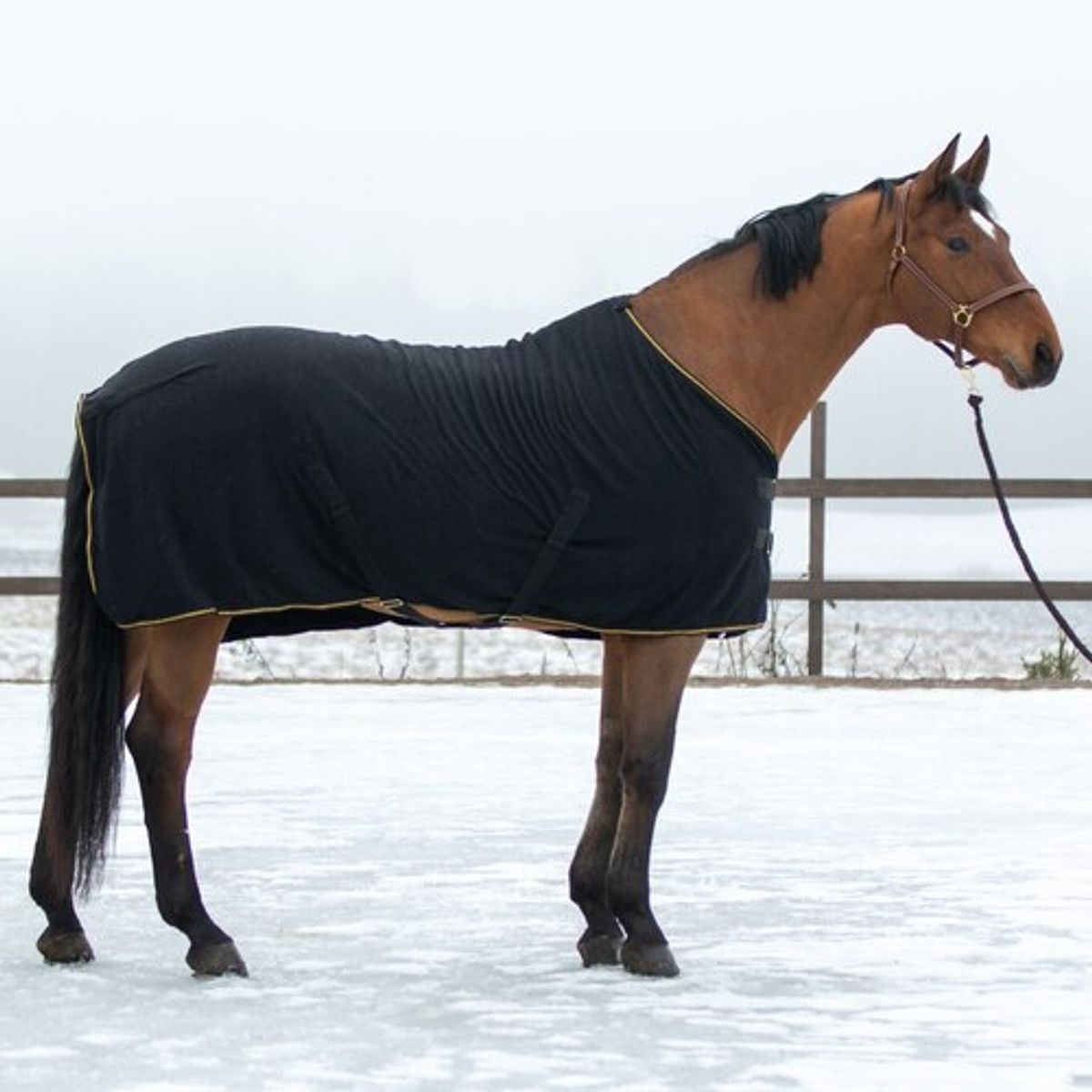 Wahlsten Furry Quick Dry Cooler dækken - 145 cm