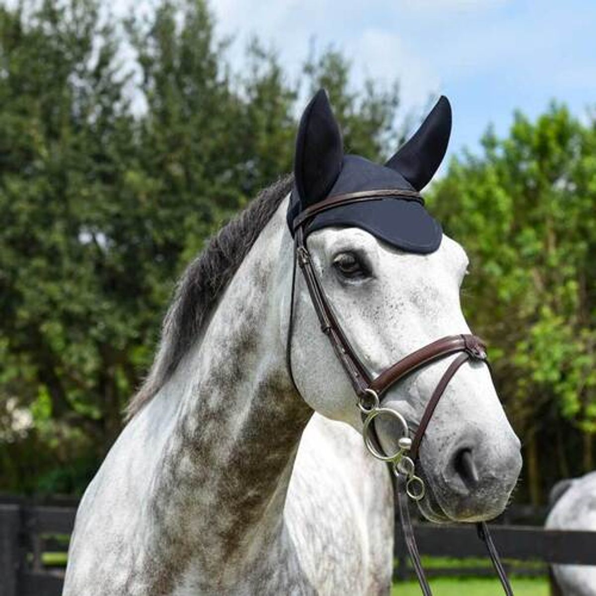 Fenwick Equiestrian Liquid Titanium® hut med lydreducerende ører