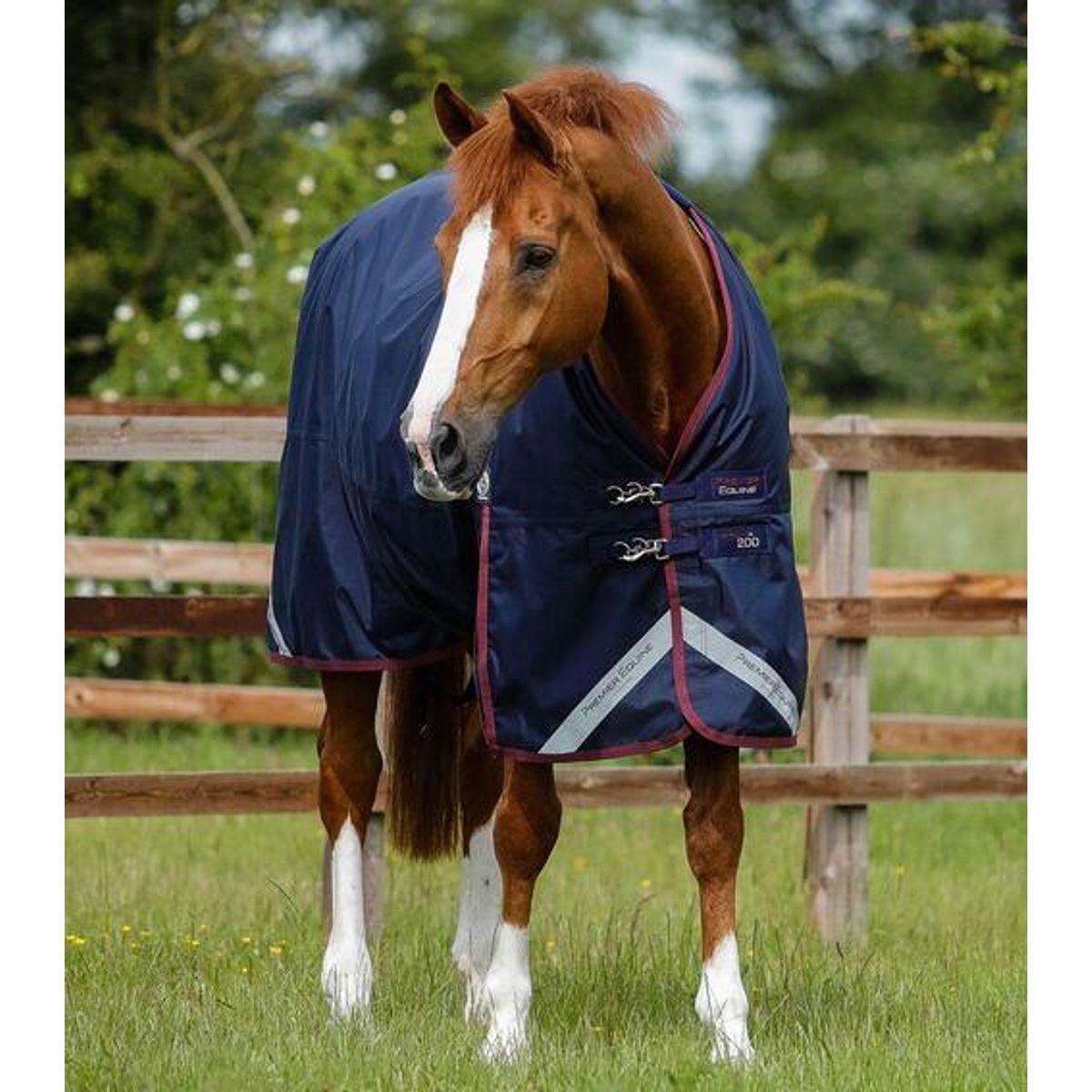 Premier Equine Titan 200 Original Turnout dækken - Navy - 6,6" (145cm)