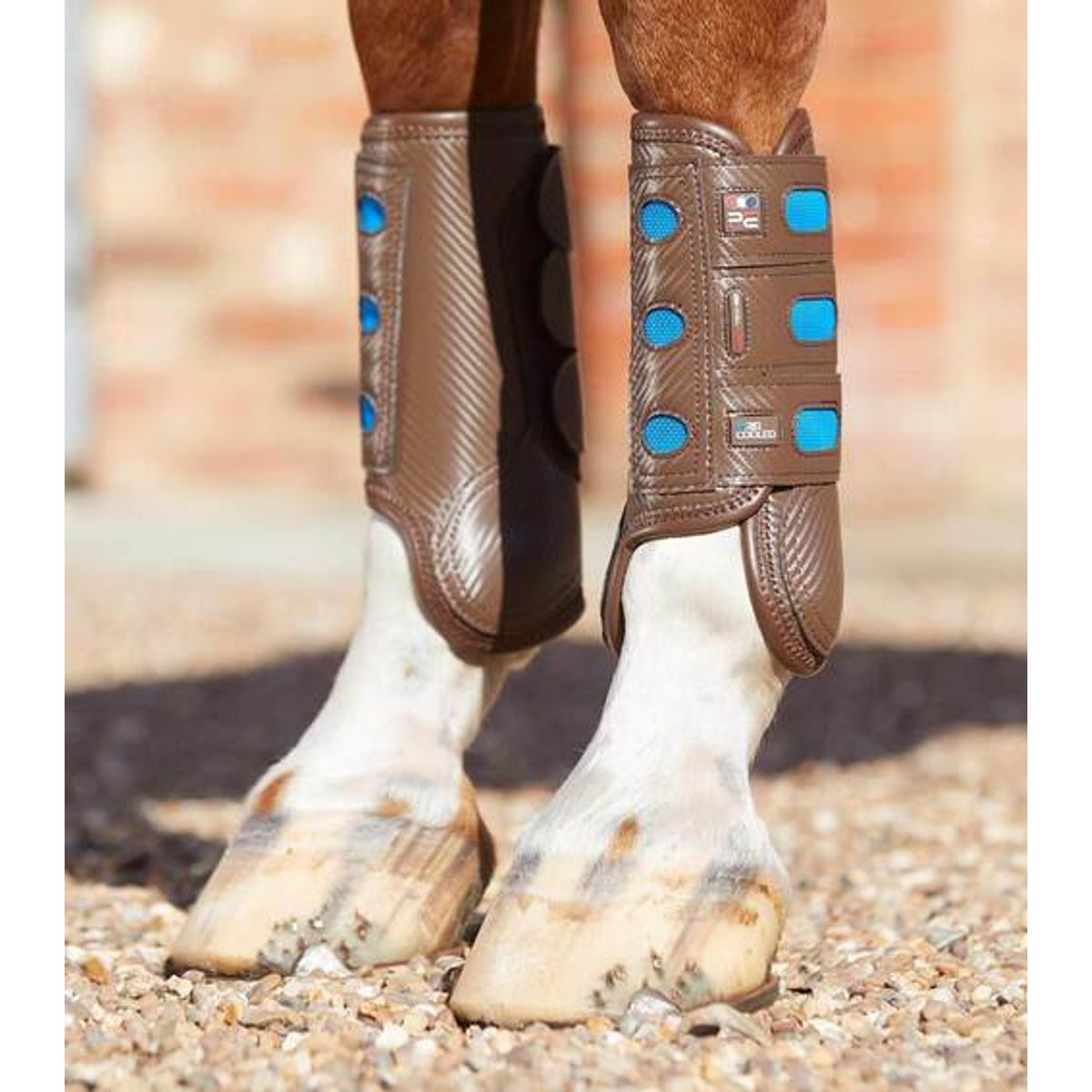 Premier Equine Carbon Tech Air Cooled Eventing gamacher - Forben - Brun, M