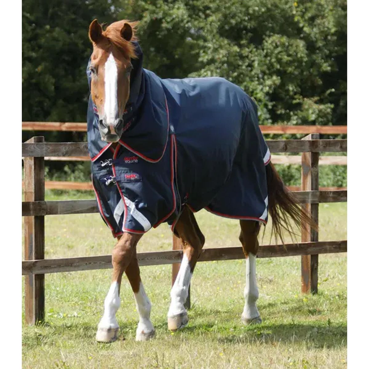 Premier Equine Buster 50g med aftagelig Snug-Fit hals - Navy - 6,0" (135cm)