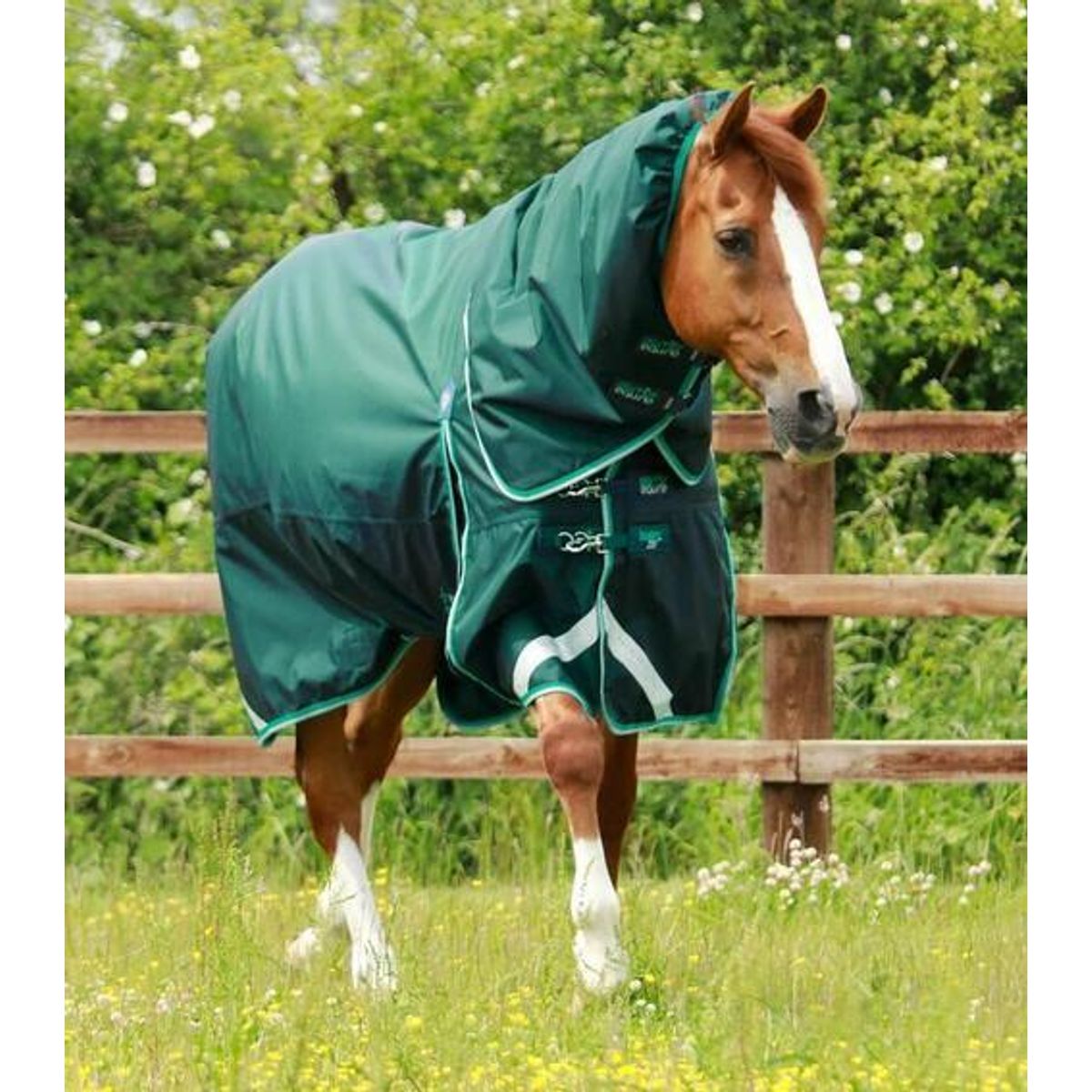 Premier Equine Buster 200g dækken med Snug Fit hals - Grøn - 5,9 130cm