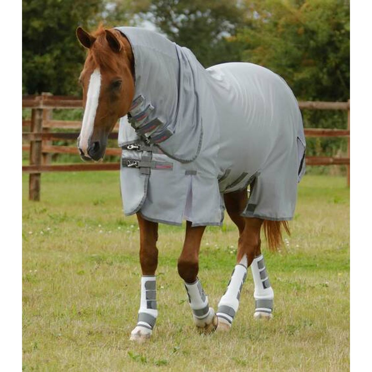 Premier Equine Bug Buster insekt dækken med maveklap - 7,3" (170cm)