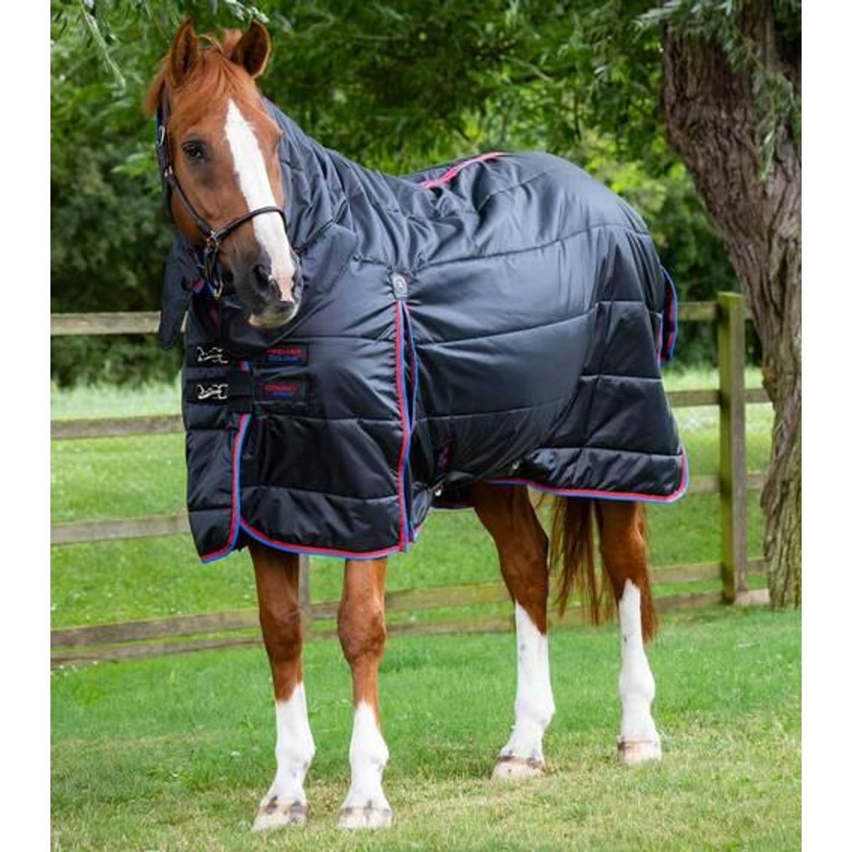 Premier Equine Combo stald dækken 200g - Sort, 6,9" (155cm)