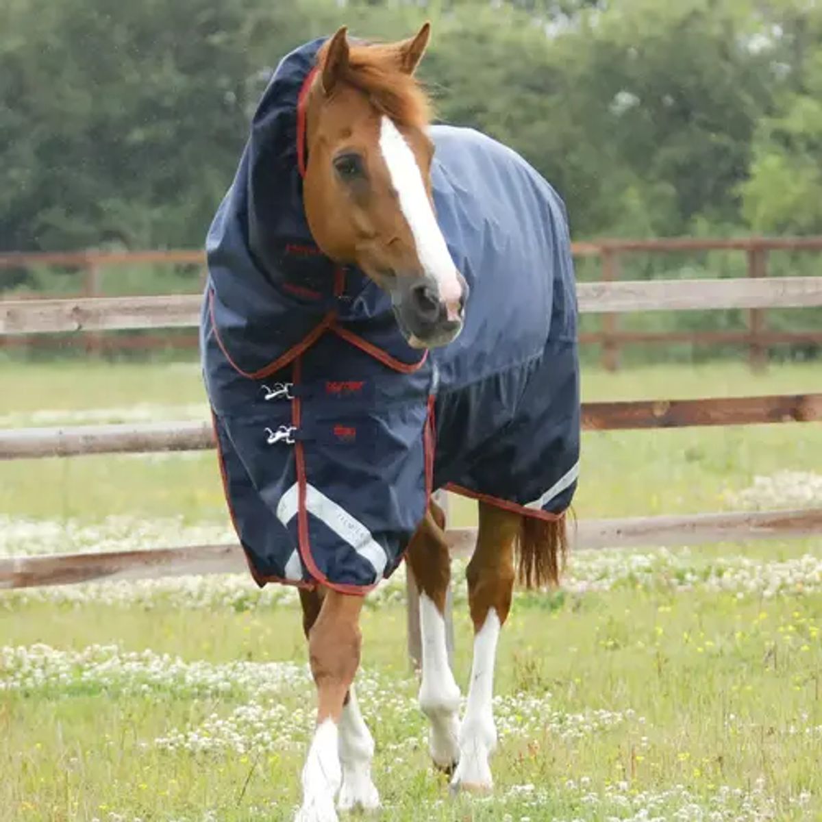 Premier Equine - Titan 450g vinterdækken med Snug-Fit hals - Navy - 5,3 - (120cm)