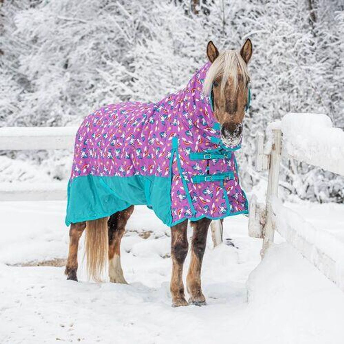 Coverme Unicorn pony dækken med hals - 150g - 155cm