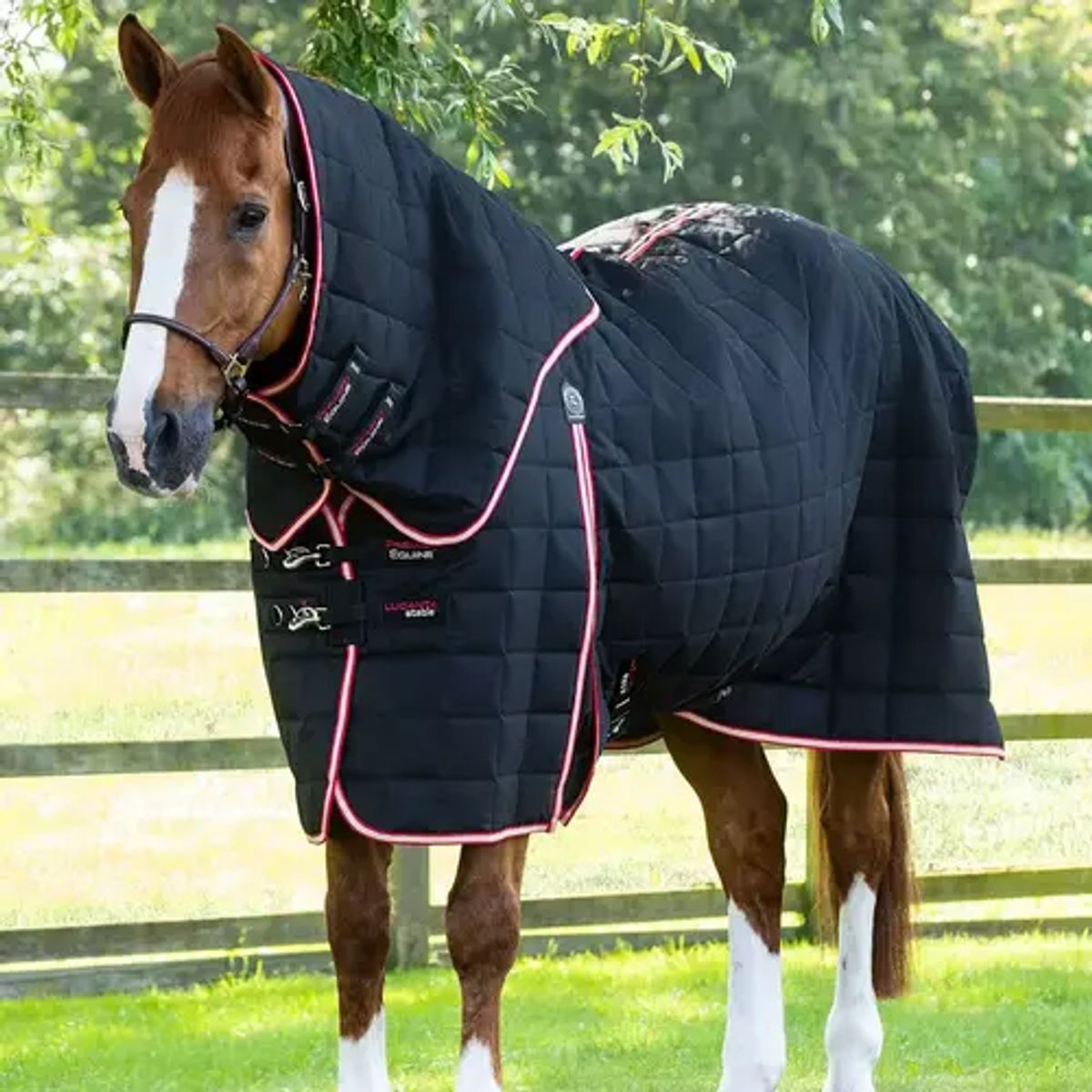 Premier Equine Lucanta 200g stald dækken med hals - Sort - 6,9 155cm