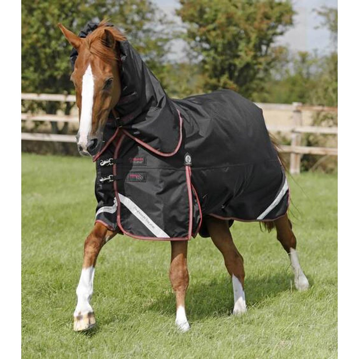 Premier Equine Titan Trio dækken - Sort - 5,0 115cm