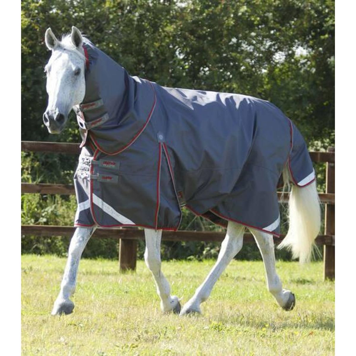 Premier Equine Buster 50g med aftagelig Snug-Fit hals - Grå - 5,6" (125cm)