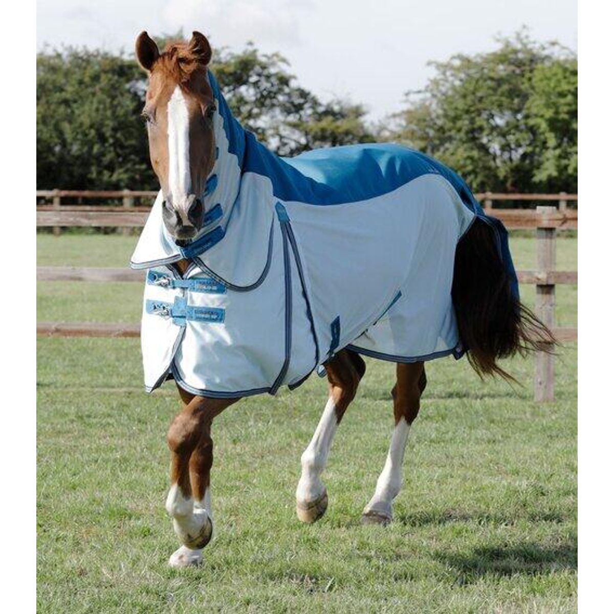 Premier Equine Stay-Dry Mesh Air Fly dækken - Blå - 7,3" (170cm)