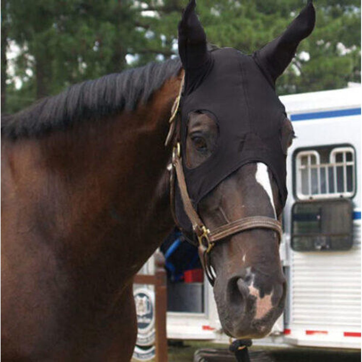 Fenwick Equestrian Liquid Titanium® maske med ører - Karabinlukning - M