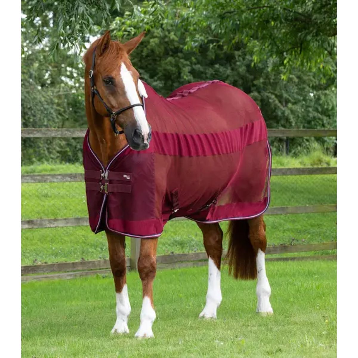 Premier Equine Arisca Scrim Cooler - Burgundy - 6,9" (155cm)