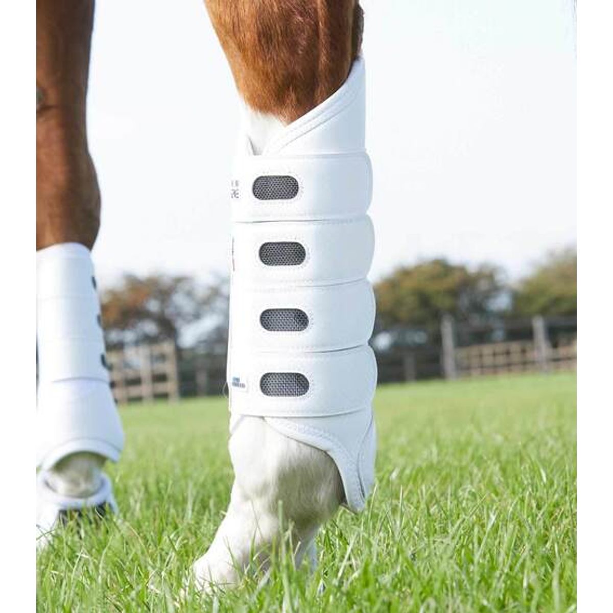 Premier Equine Carbon Tech Air Cooled Eventing Boots -bagben