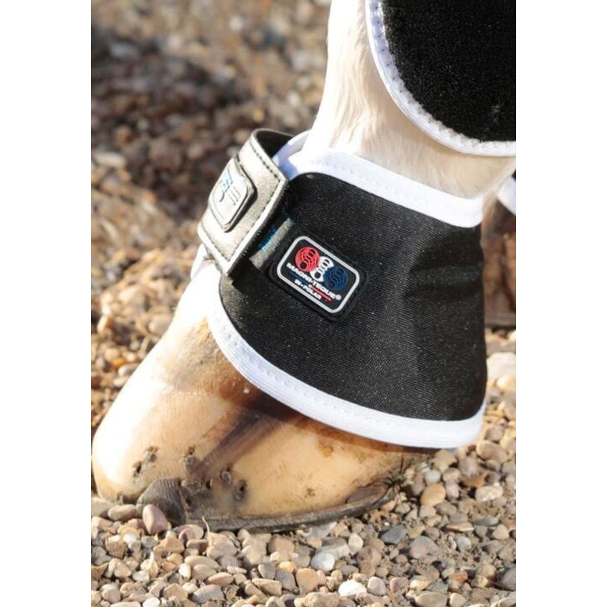 Premier Equine Magni-Teque Magnet boots - M