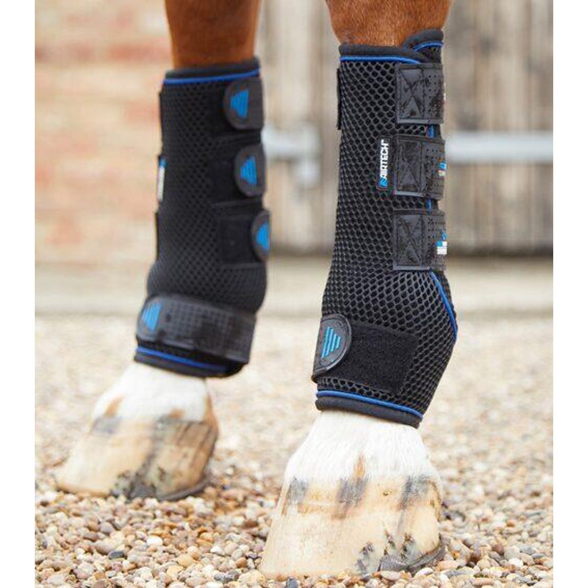 Premier Equine Cold Water Compression Boots