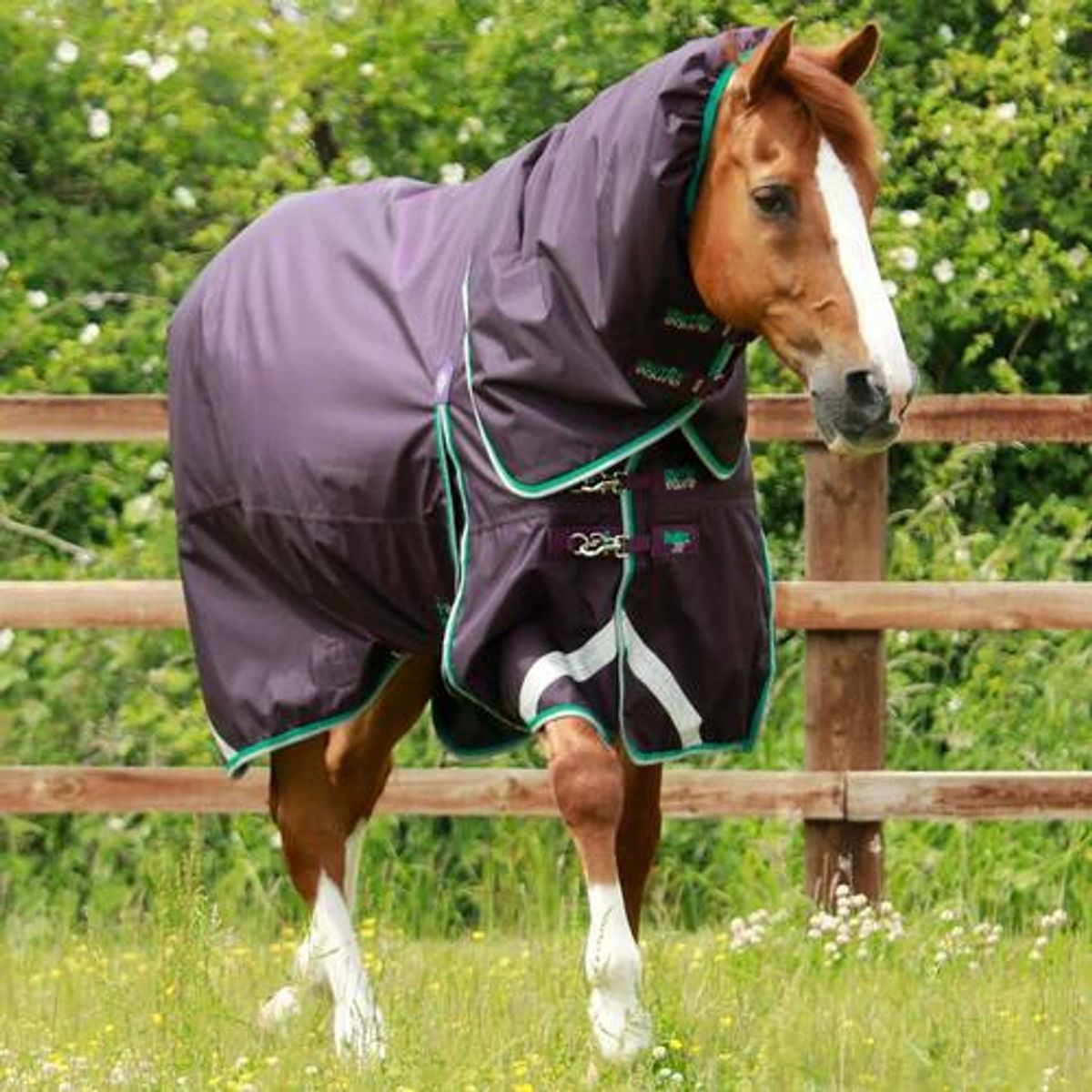 Premier Equine Buster 200g dækken med Snug Fit hals - Lilla - 5,6 125cm