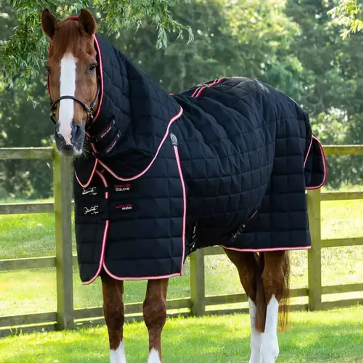 Premier Equine Lucanta 450g stalddækken med hals - Sort - 7,3 170cm