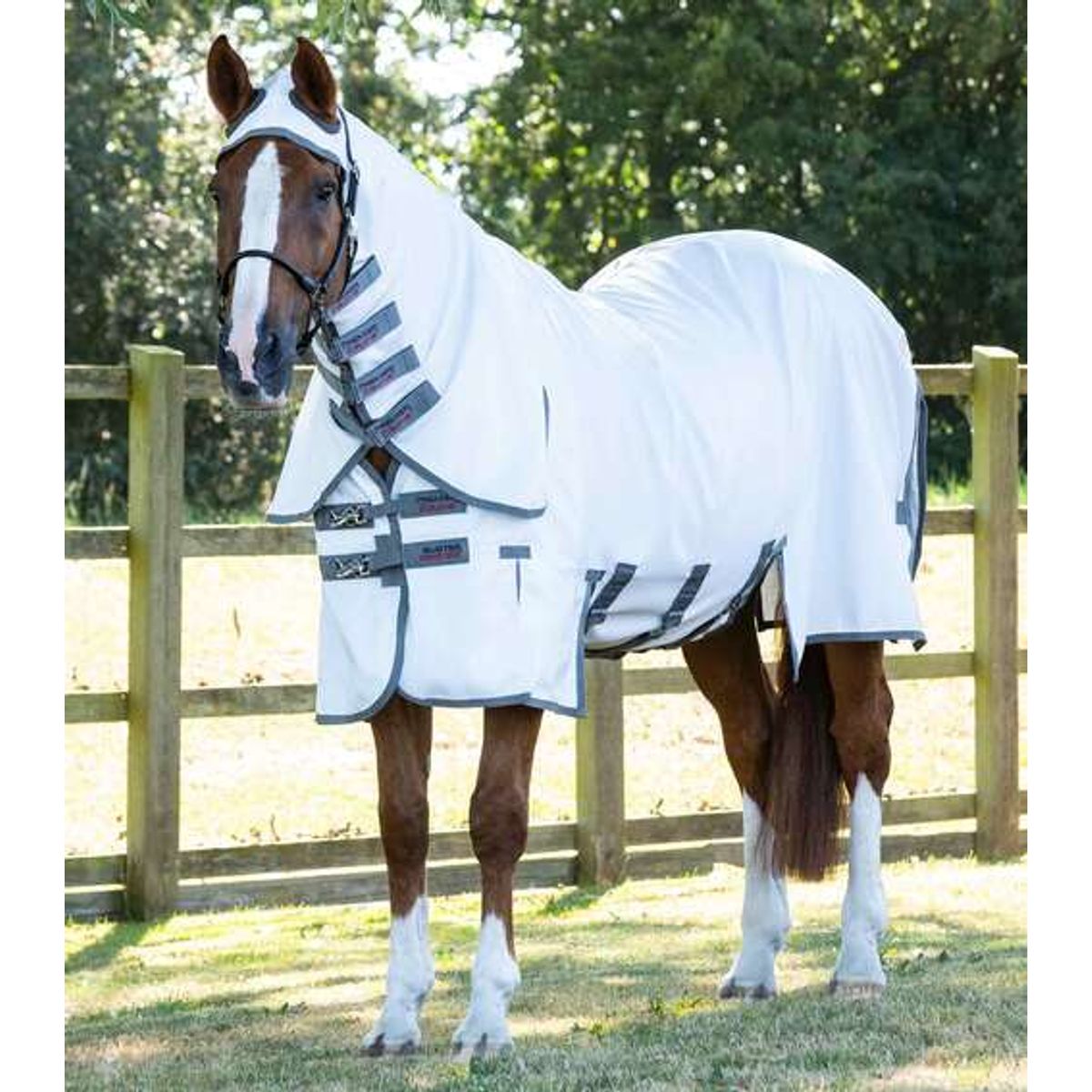 Premier Equine Sweet Itch Buster eksem dækken med maveklap - 6,3" (140cm)