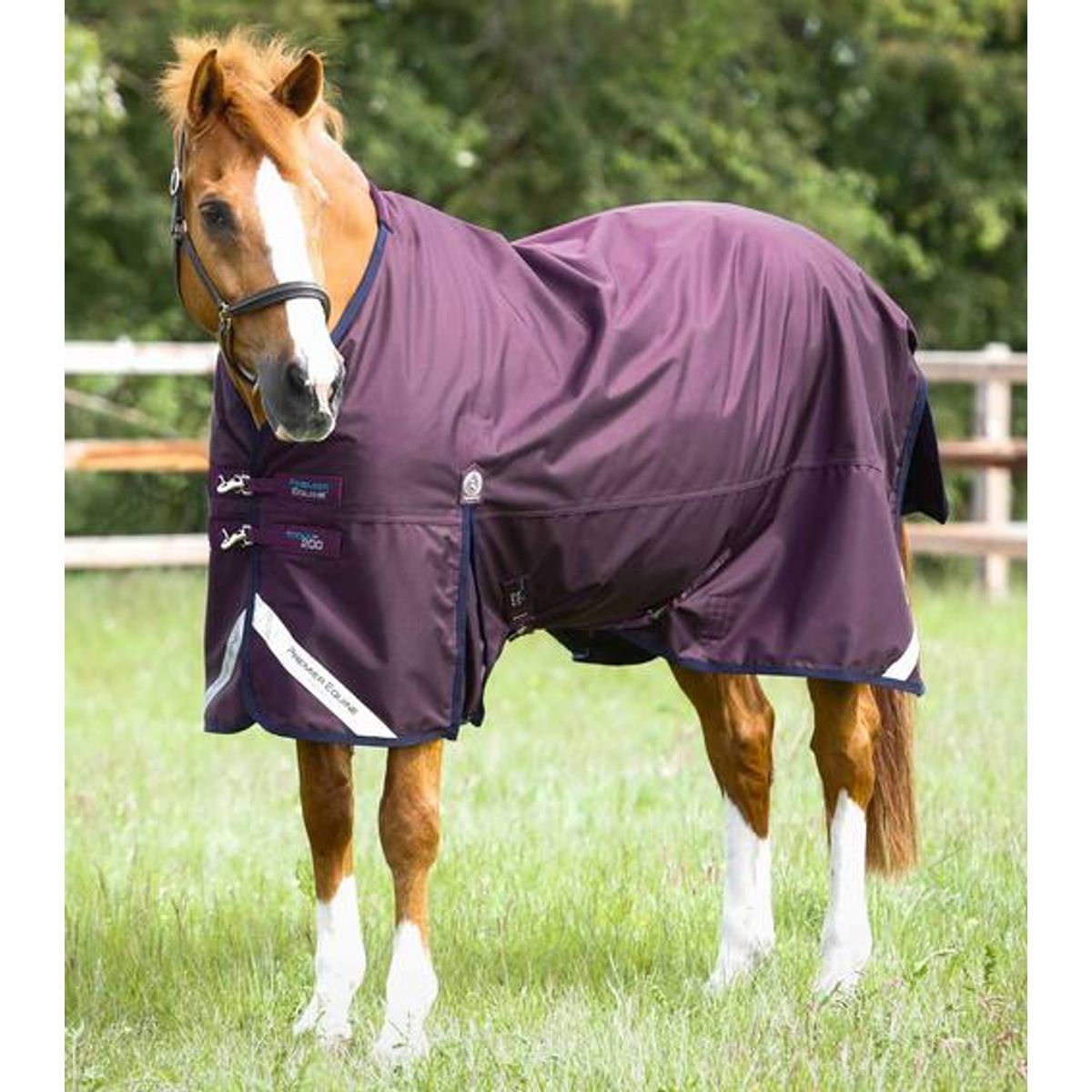 Premier Equine Titan 200 Original Turnout dækken - Lilla - 5,9" (130cm)