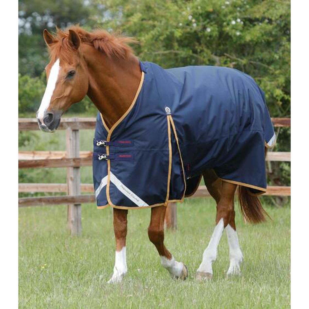 Premier Equine Buster Original 50g overgangsdækken - 7,0" (160cm)