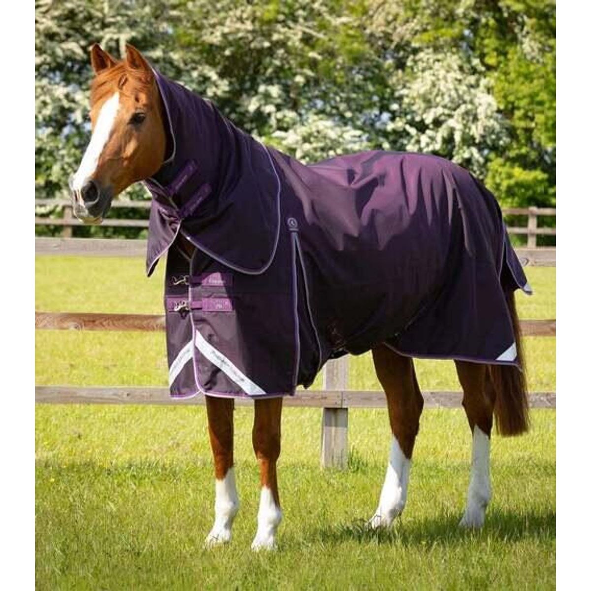 Premier Equine Buster 70g dækken med aftagelig hals - Lilla - 7,3 170cm