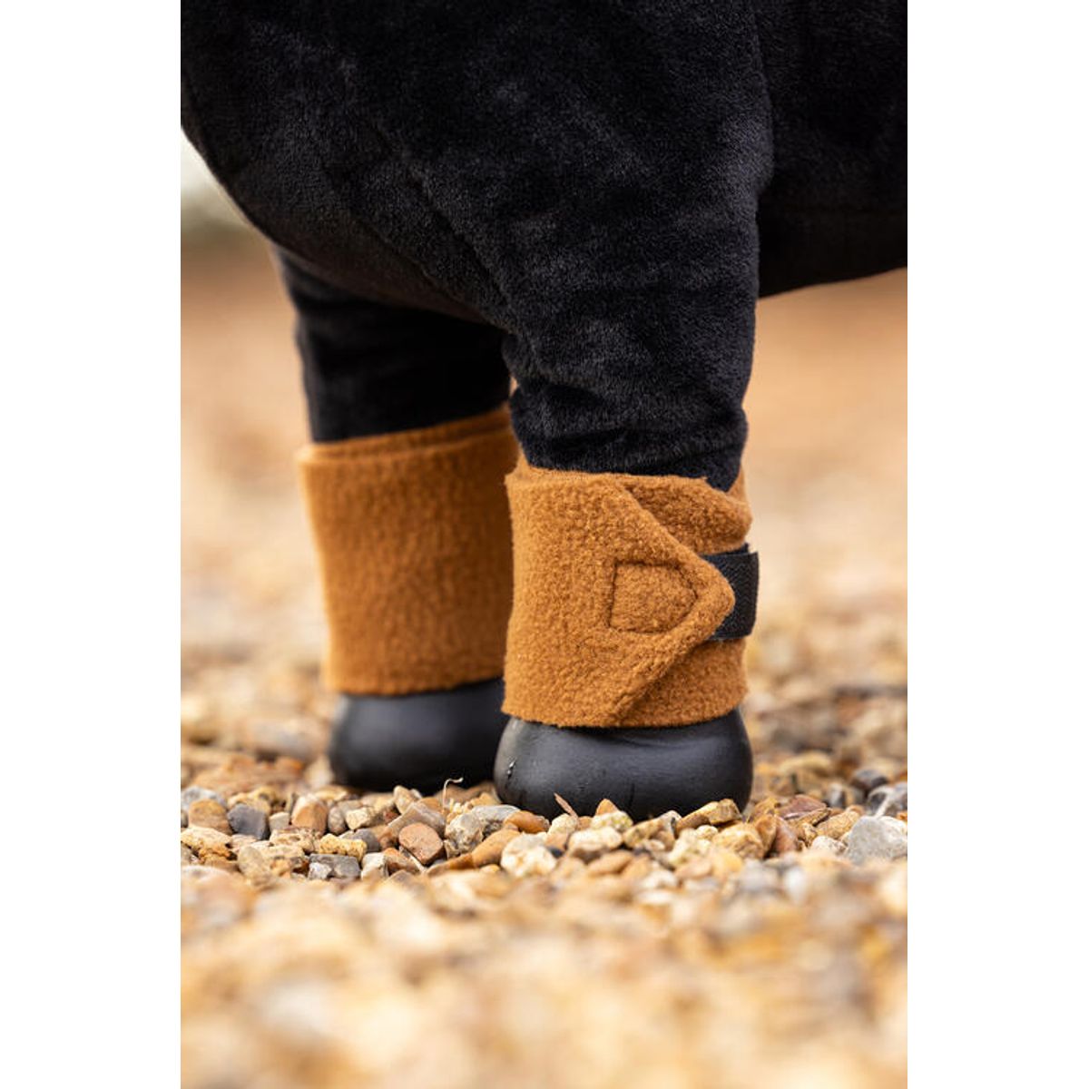 LeMieux AW24 Mini Toy Pony bandager - Ginger